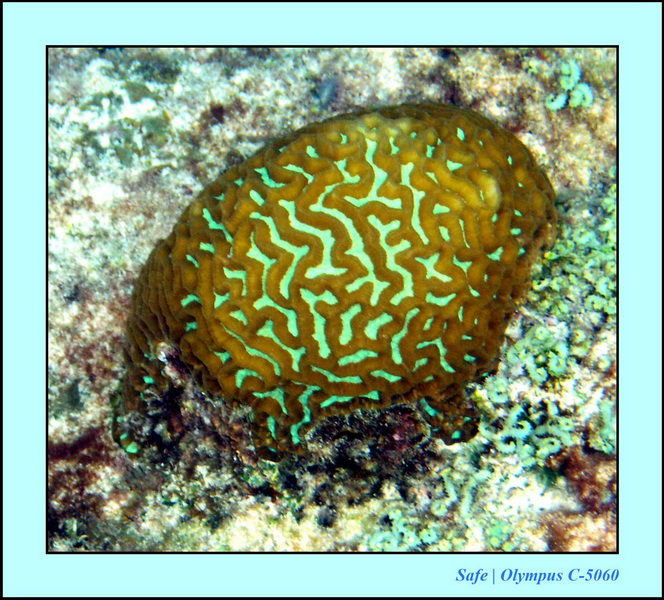 2005 - 08 - Redang  - 080.JPG